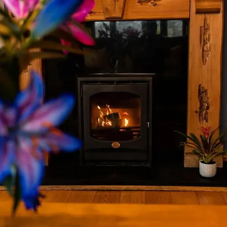 Πανσιόν Twin Peaks